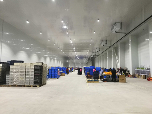 建設(shè)8000平米電商物流低溫冷藏庫費用造價是多少？