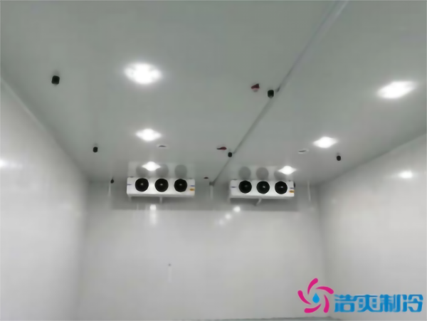 建造彩椒保鮮冷庫(kù)安裝費(fèi)用需要多少錢？