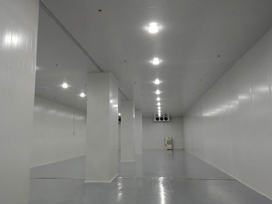 建設(shè)大型食品冷鏈物流冷藏庫(kù)費(fèi)用一般是多少？