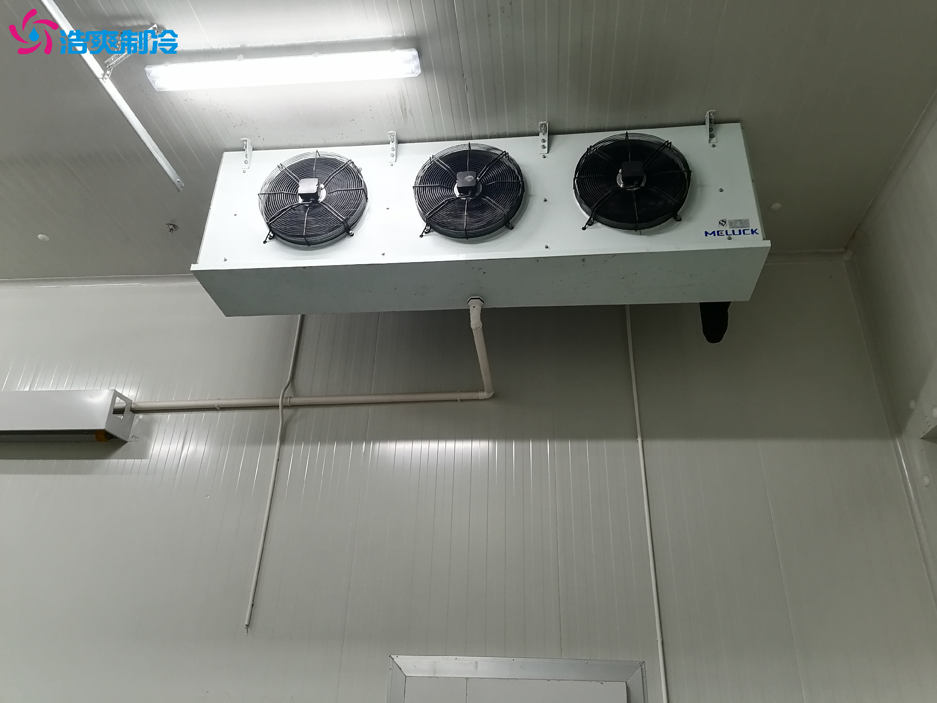 GSP認證 藥品疫苗試劑醫(yī)藥冷庫定制化設計安裝