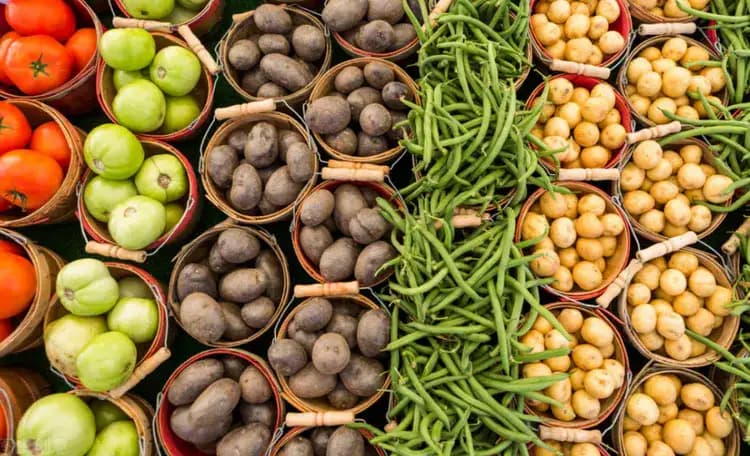 蔬菜冷庫的五種預(yù)冷方式介紹 蔬菜冷庫的五種預(yù)冷方式介紹