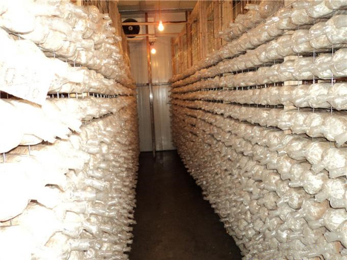 建一個(gè)100平方香菇冷庫全套要多少錢？