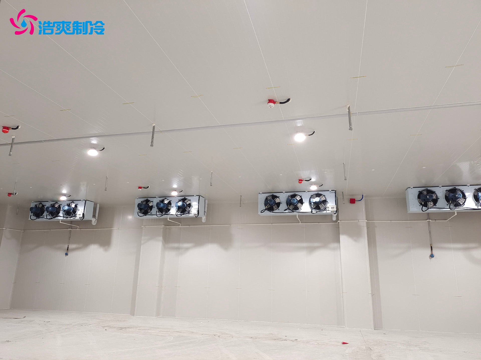 定制IICT4電子化工防爆冷庫安裝設(shè)計(jì)建造施工方案 定制IICT4電子化工防爆冷庫安裝設(shè)計(jì)建造施工方案