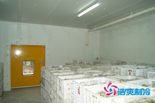 圖示：浩爽制冷為蜜之源果業(yè)建造的柑橘氣調(diào)冷庫(kù)