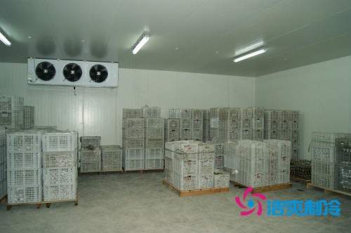 圖示：氣調(diào)庫(kù)放置的柑橘