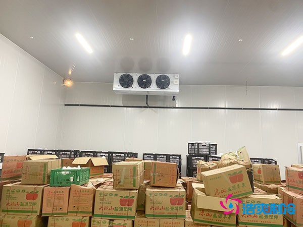 建設(shè)大型冷庫造價(jià)成本需要多少資金投入呢？