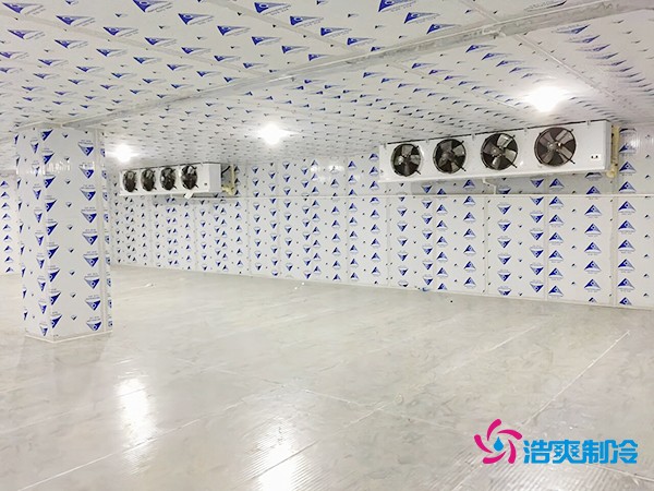 冷庫造價一平米如何計算？智能冷庫建造方案再降百元！