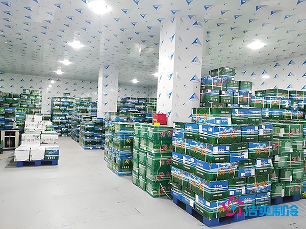 浙江紹興建設(shè)果蔬保鮮冷庫的費用大概多少錢？