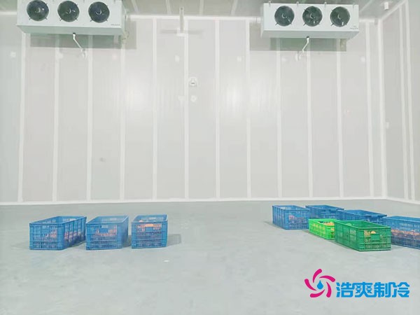 200噸蔬菜保鮮冷庫造價多少錢？需要多大面積？