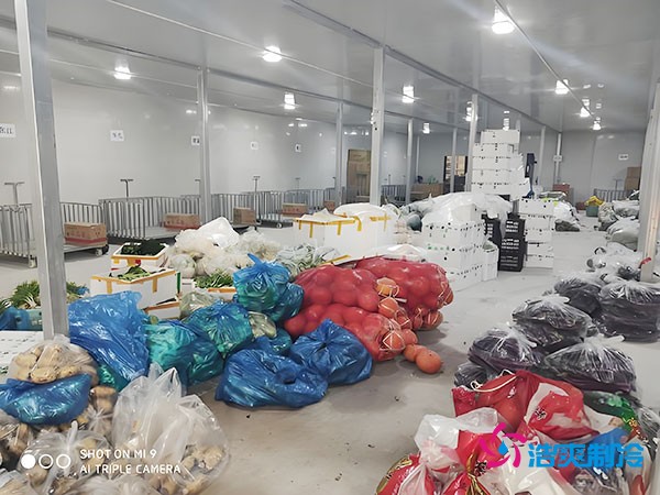 5000平方米果蔬保鮮冷庫造價(jià)