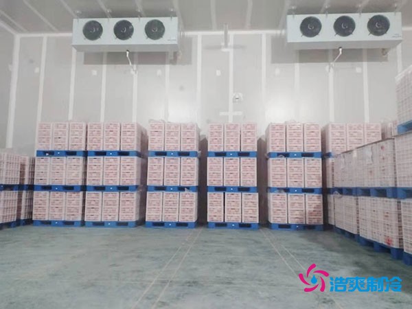 氣調冷庫建造多少錢