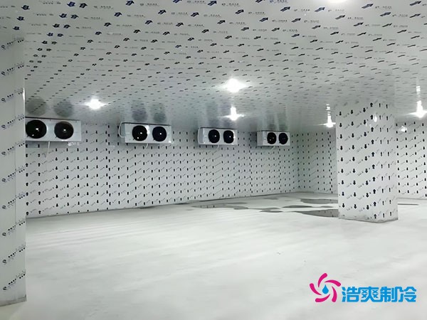 100平米冷凍庫安裝費用及造價多少錢？