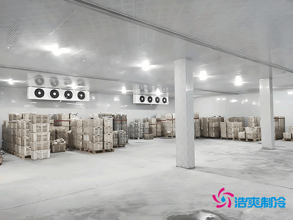 100平方米食品冷庫造價(jià)的詳細(xì)解析及專業(yè)建議