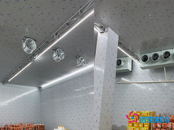 2000平冷庫(kù)造價(jià)揭秘：這些因素讓你多花幾十萬(wàn)！