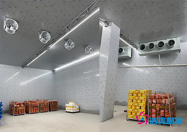 1000噸果蔬保鮮庫(kù)造價(jià)揭秘，節(jié)省成本就靠這幾點(diǎn)！