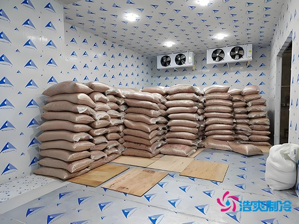 2萬起建種子冷庫？這些因素讓造價(jià)翻倍！