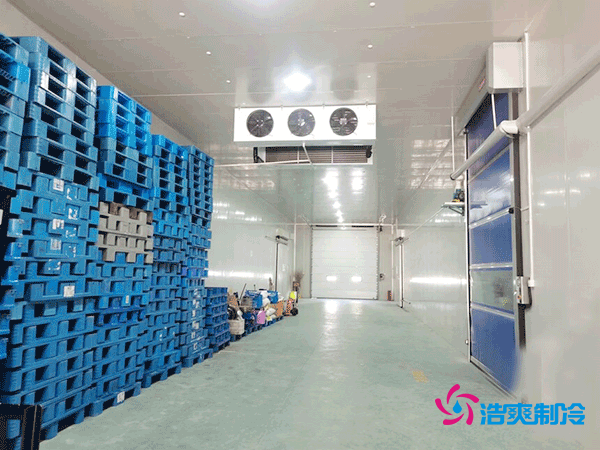 冷庫造價懸殊？揭秘每平米價格背后的秘密！