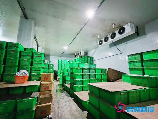 水果保鮮冷庫建造價(jià)格每平米多少錢？