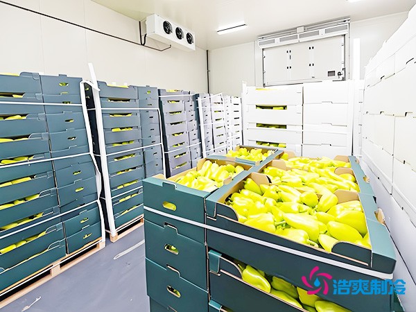 氣調(diào)保鮮冷庫造價(jià)