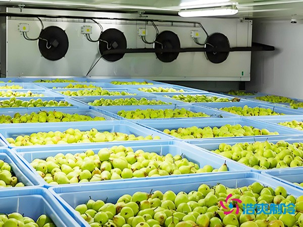 氣調(diào)保鮮冷庫造價(jià)