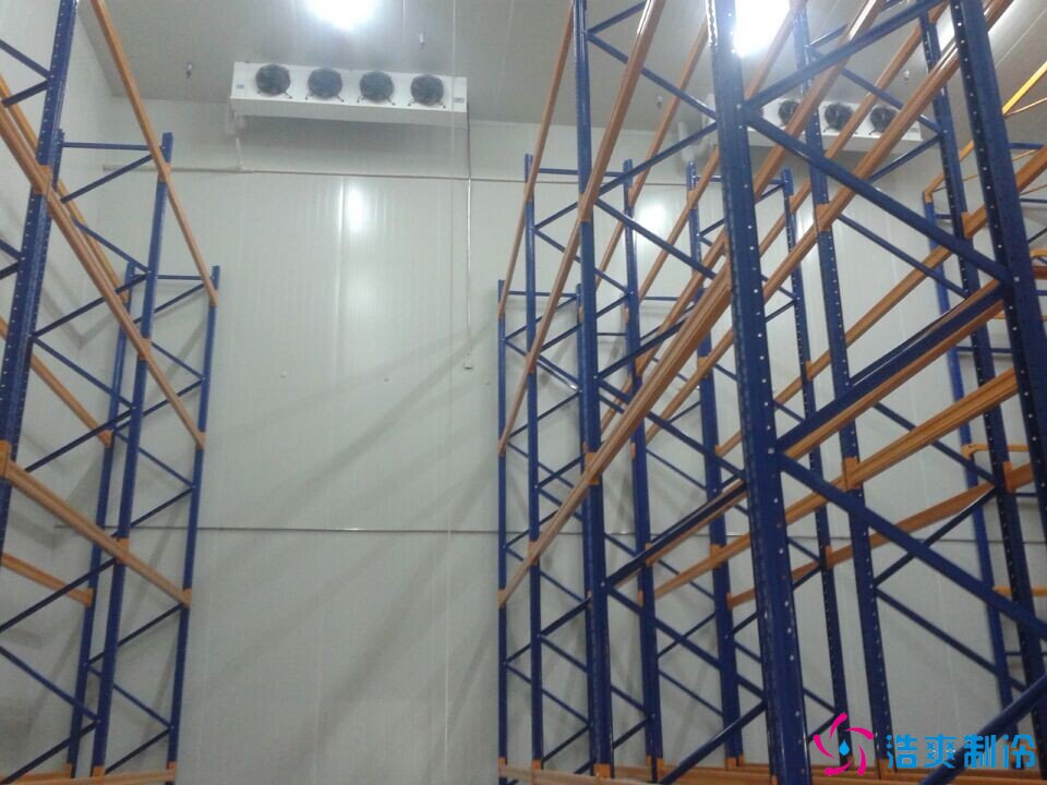 冷庫設(shè)計倉儲貨架