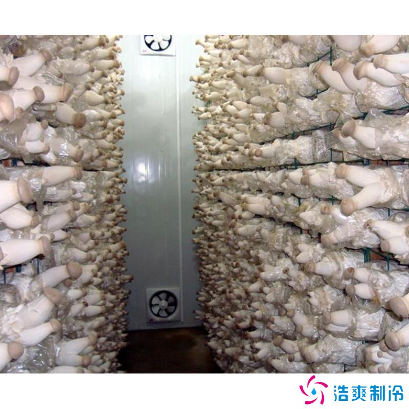 蘑菇冷庫(kù)建造成本多少錢，蘑菇冷藏方法哪些