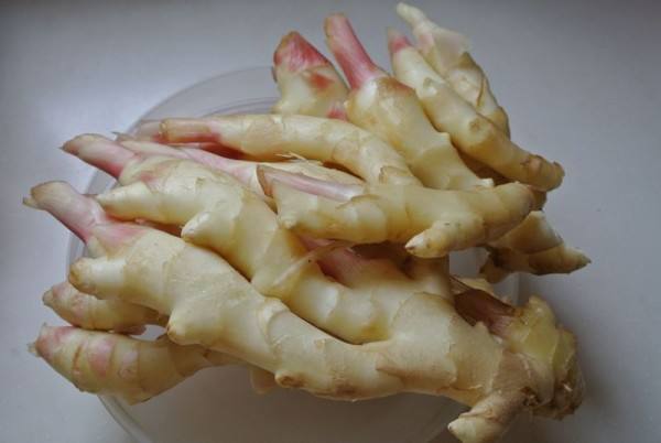 3000噸鮮姜冷庫前期規(guī)劃，冷庫造價(jià)預(yù)算多少