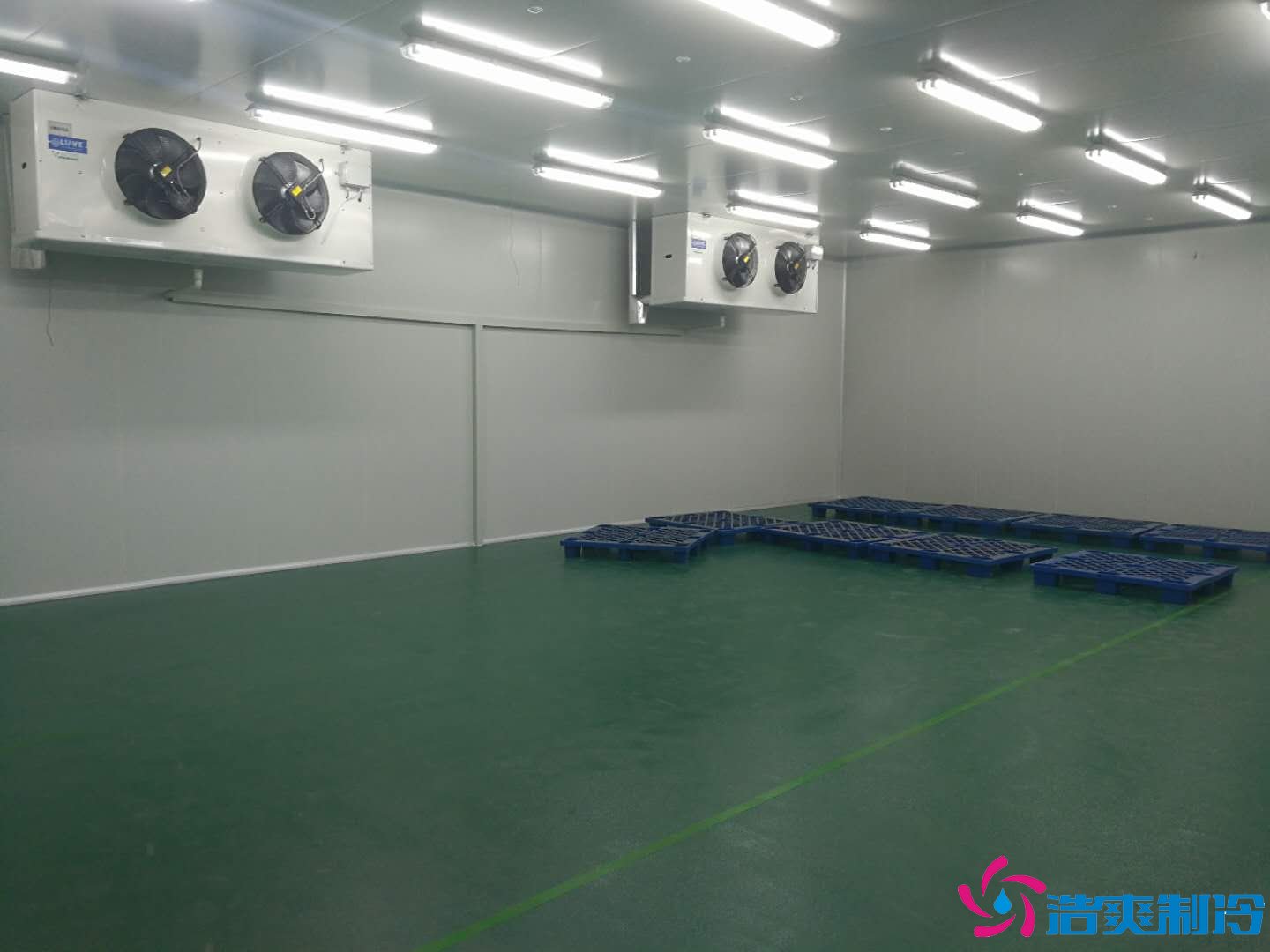 沈陽三生制藥3000平米低溫（冷凍、冷藏）醫(yī)藥物流冷庫工程案例