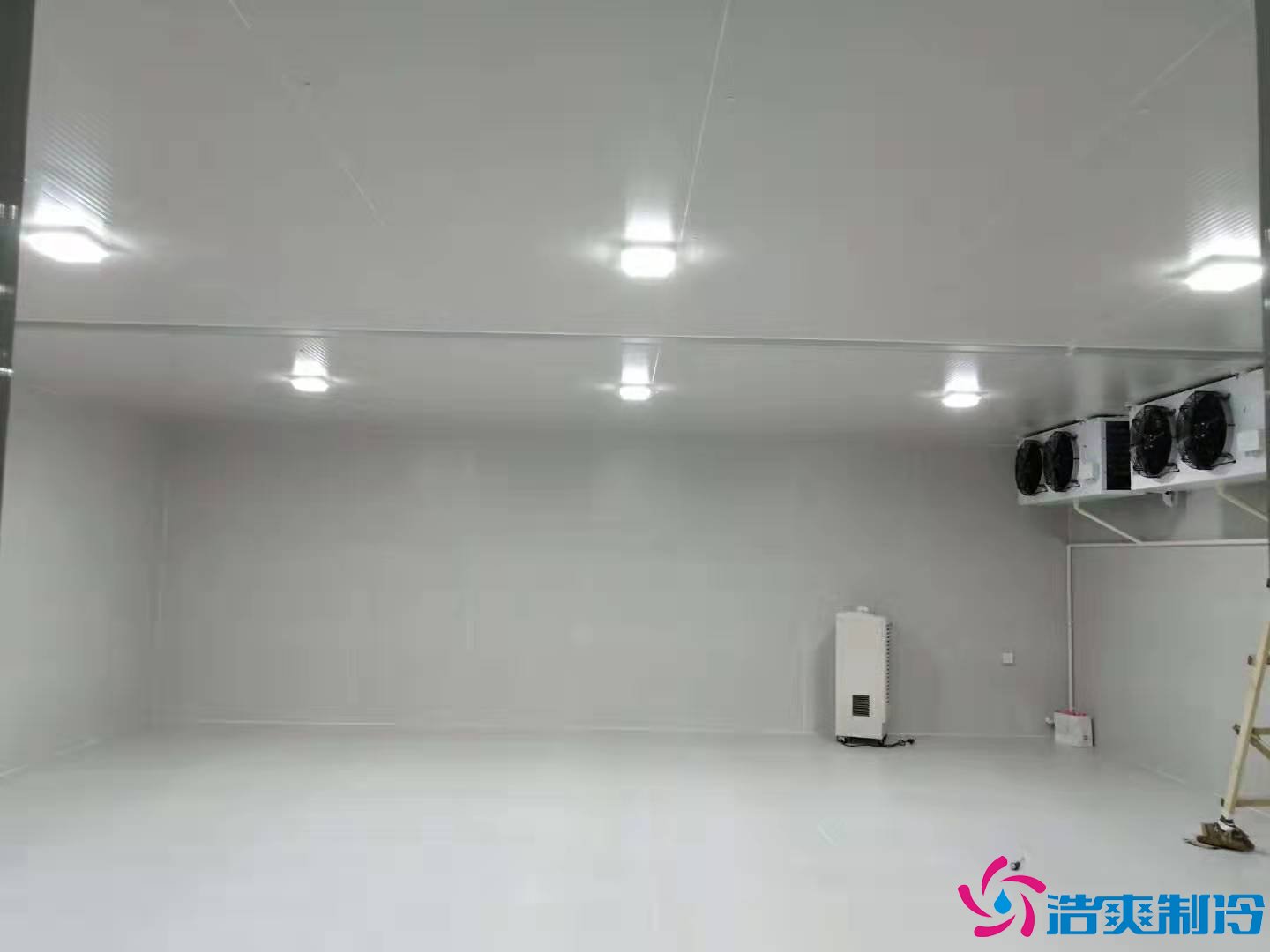 上海基因生物1000m3生物制品冷庫(kù)（冷凍、冷藏）新建工程案例