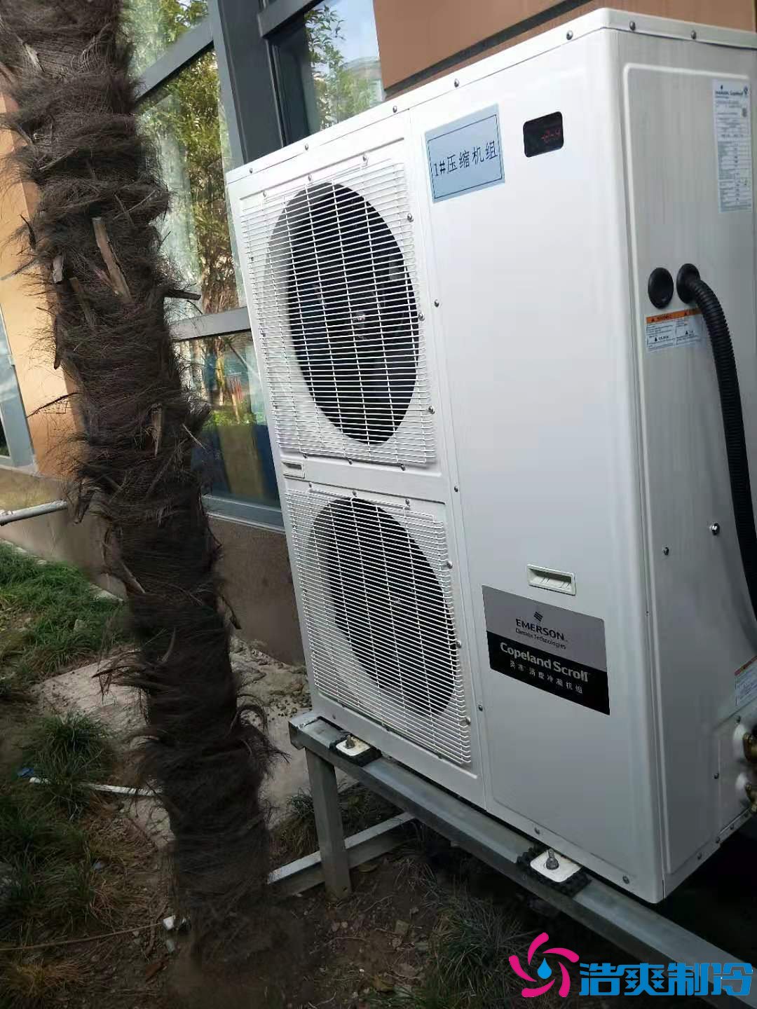 上?；蛏?000m3生物制品冷庫(kù)（冷凍、冷藏）新建工程案例