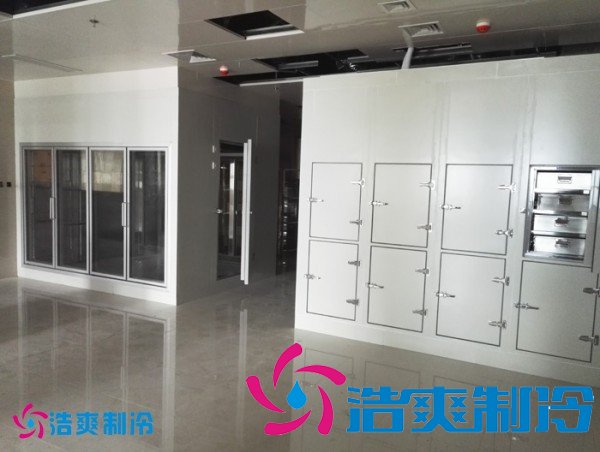 建造2-8℃社區(qū)衛(wèi)生中心冷庫（藥品冷藏庫）設備安裝造價多少