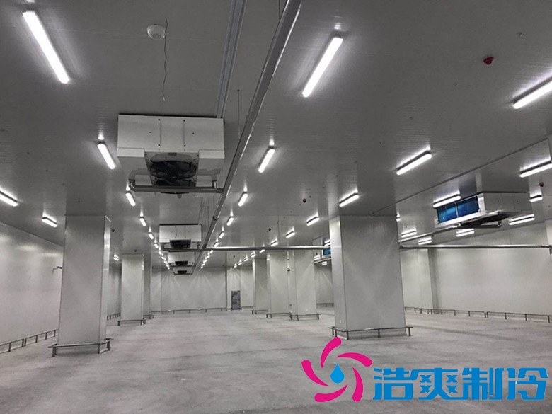 港口冷鏈冷庫市場趨勢和現(xiàn)狀，萬噸港口冷鏈低溫倉儲造價預(yù)算