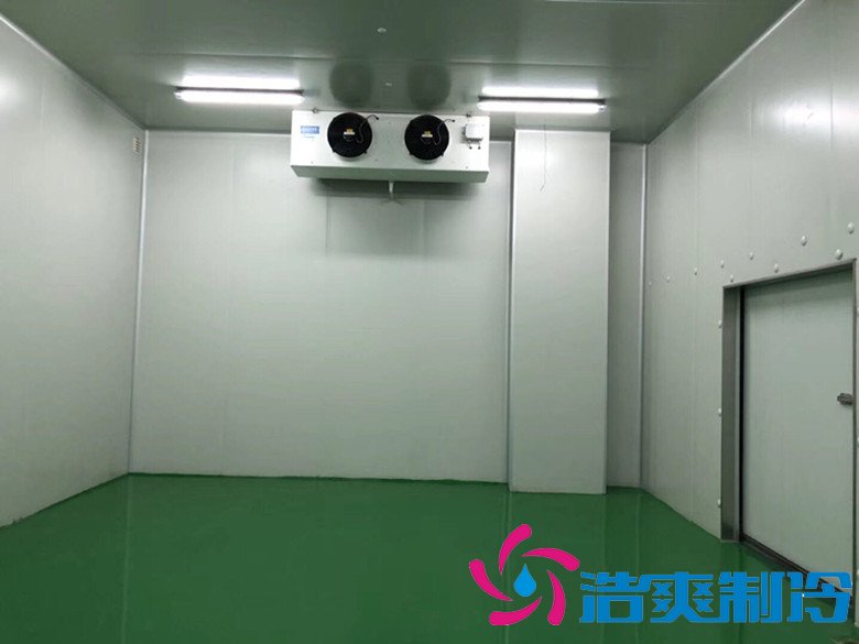 醫(yī)療冷庫的安裝標(biāo)準(zhǔn)，2-8℃生物制品冷庫安裝制冷設(shè)備造價(jià) 冷庫內(nèi)景圖片