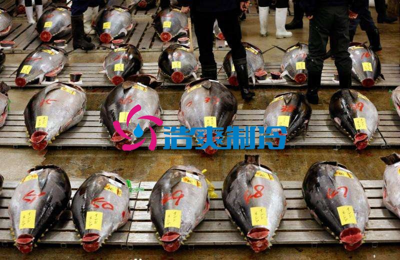 浩爽制冷，金槍魚冷庫，超低溫冷凍庫