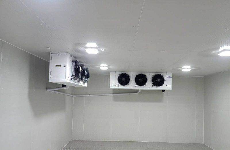 浩爽制冷，板栗保鮮冷庫(kù)