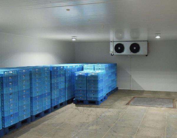 浩爽制冷、食品速凍庫